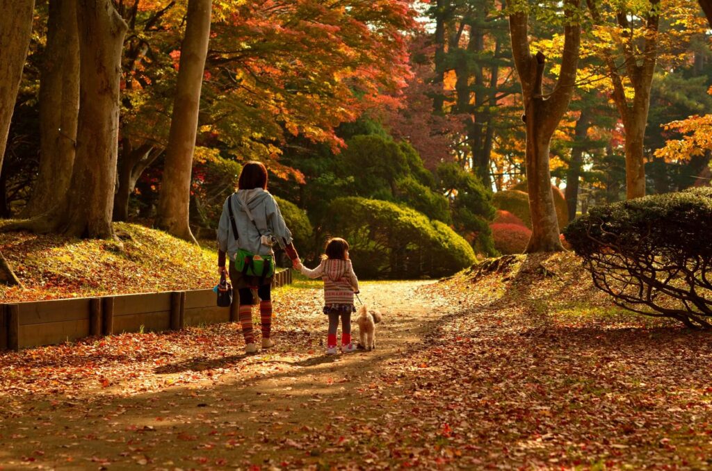 紅葉の中を散歩する親子